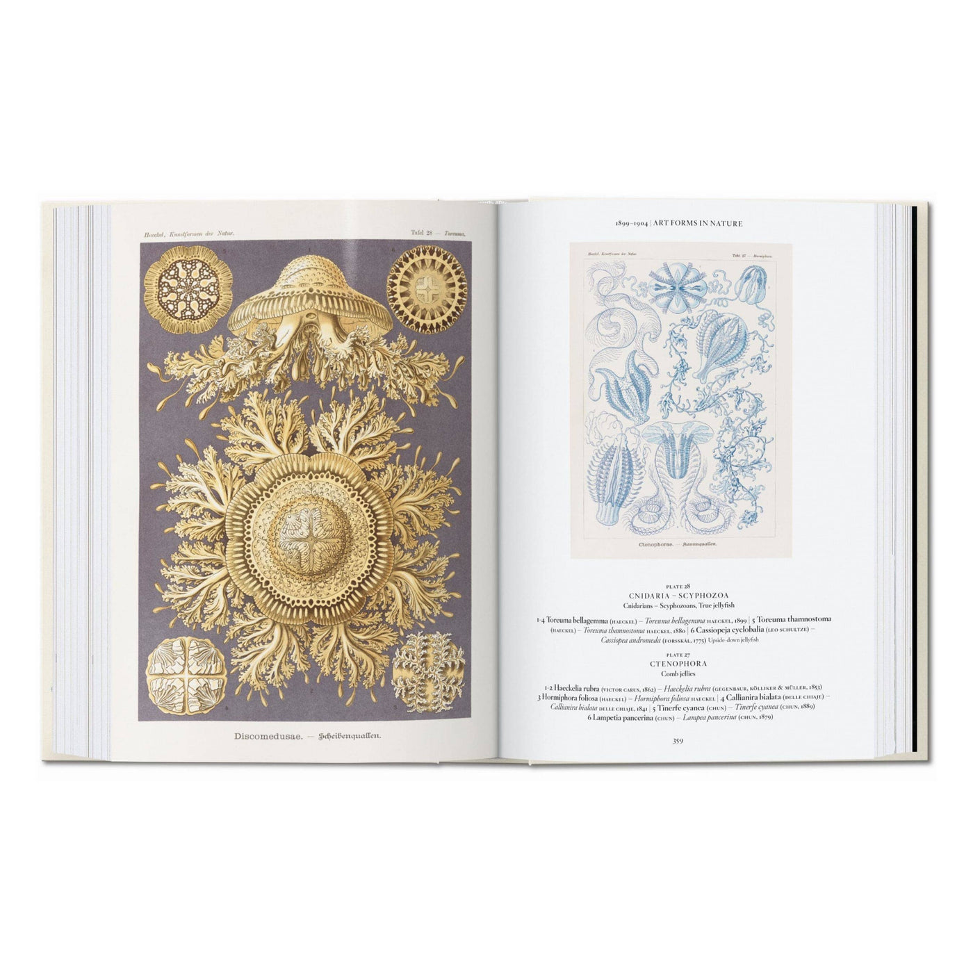 El arte y la ciencia de Ernst Haeckel. 45ª ed. (inglés)