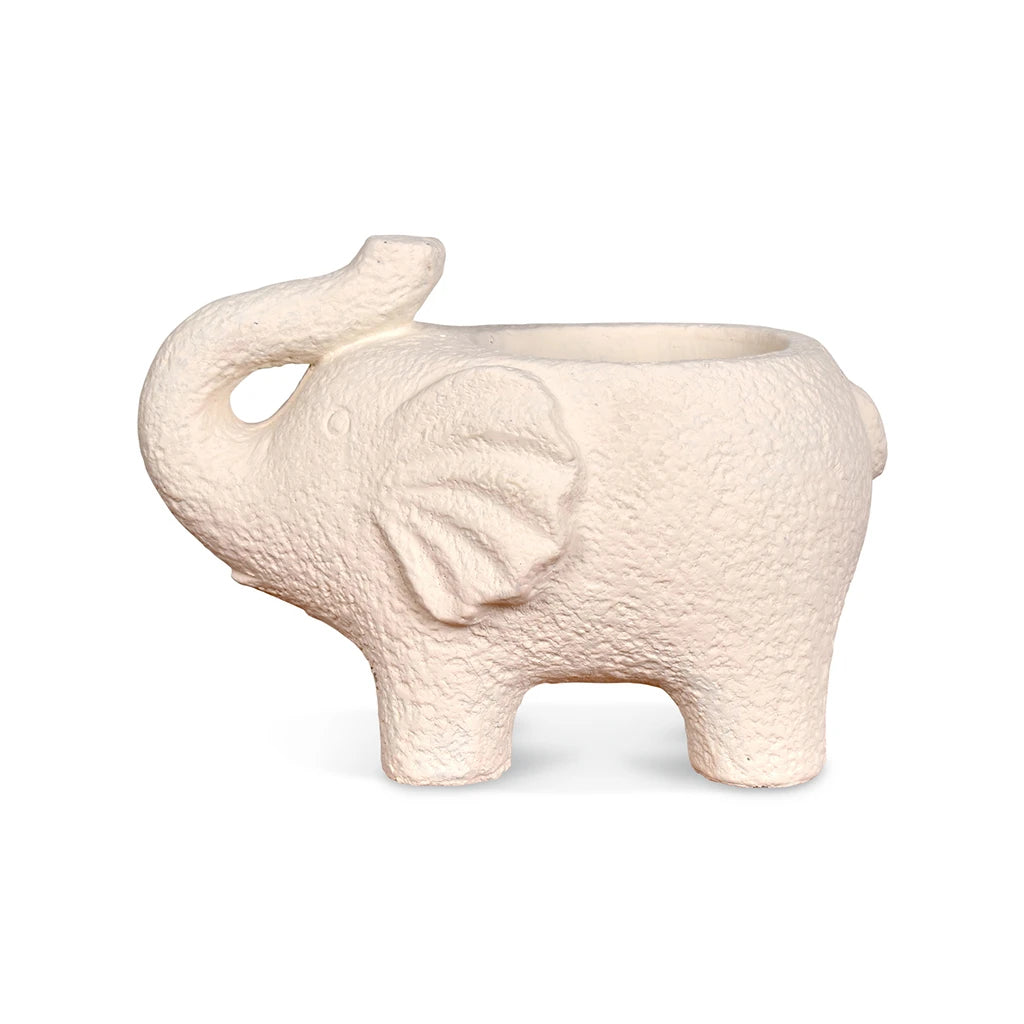 Decoración Elefante Crudo