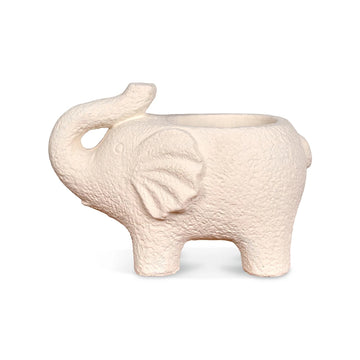 Decoración Elefante Crudo