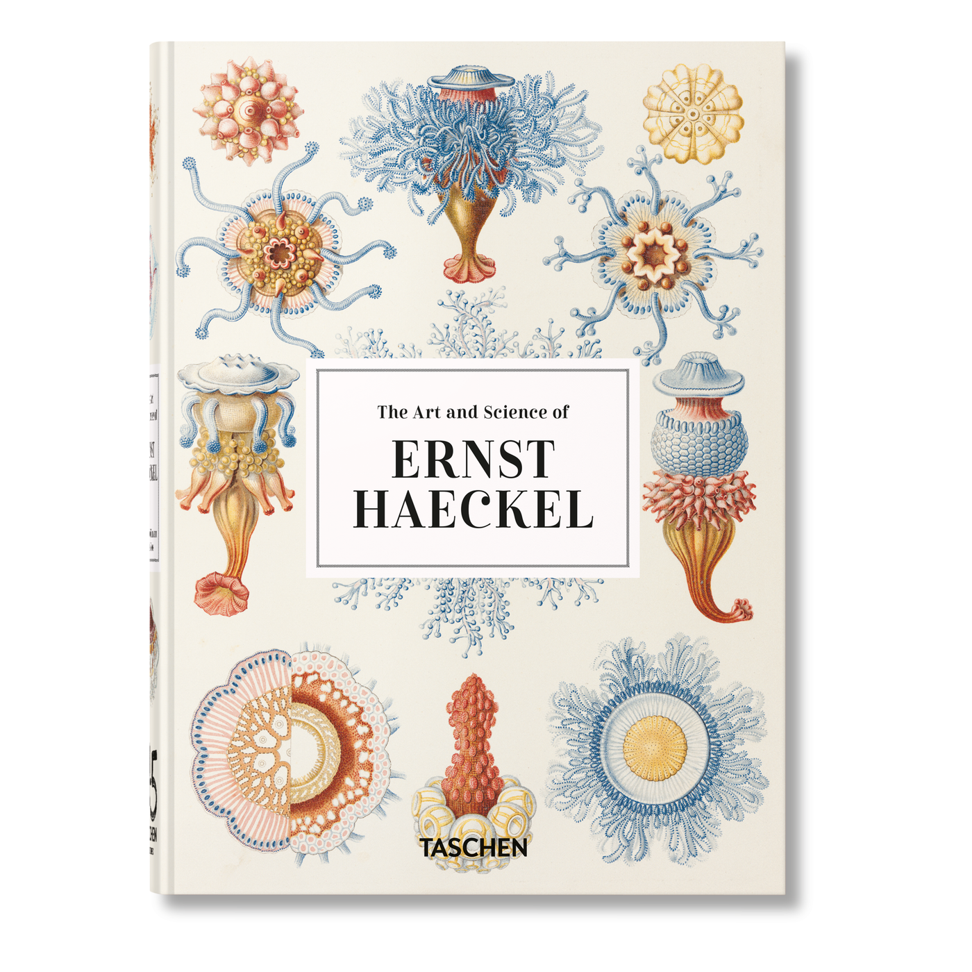 El arte y la ciencia de Ernst Haeckel. 45ª ed. (inglés)
