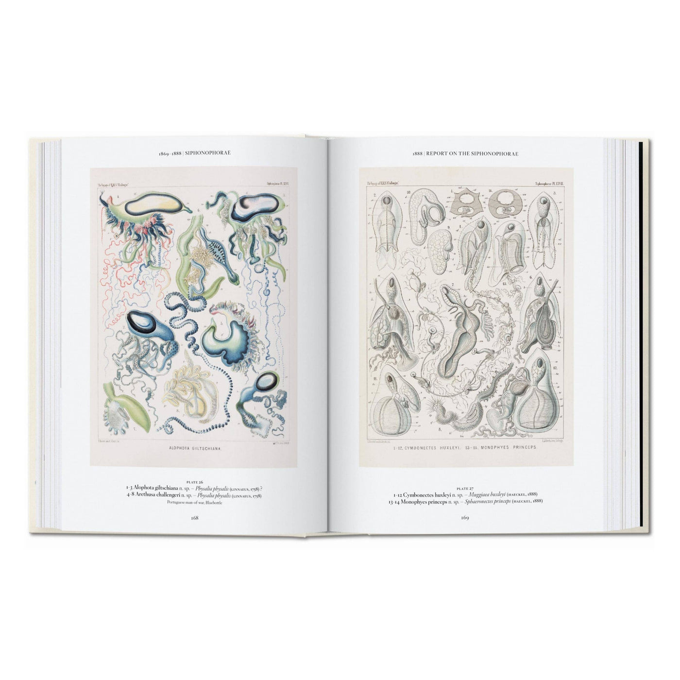 El arte y la ciencia de Ernst Haeckel. 45ª ed. (inglés)