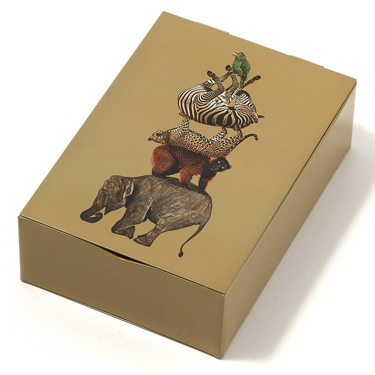 Caja rectangular Culbuto