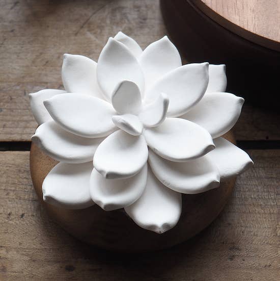 Difusor Star de Java - Difusor aromático natural