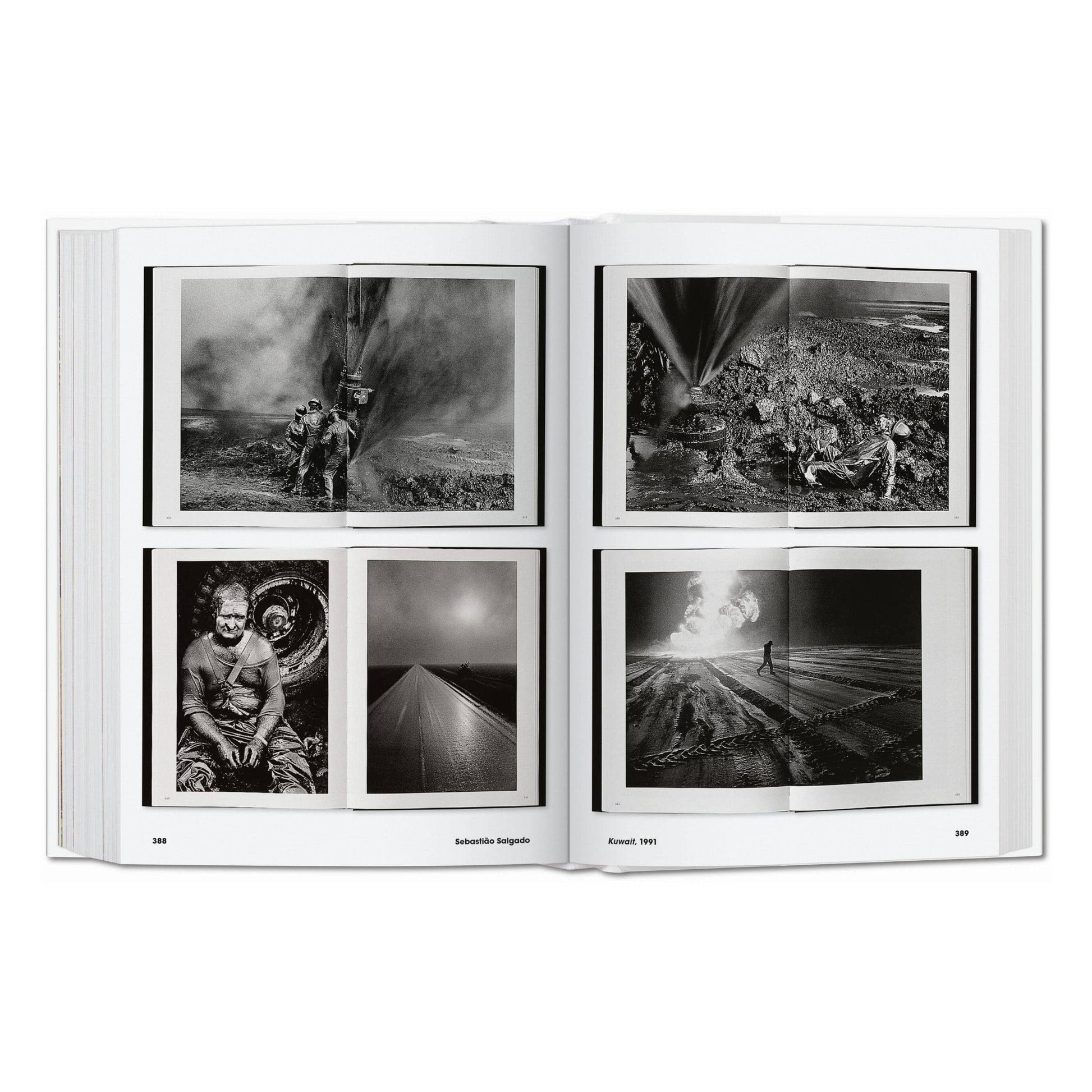 Iconos fotográficos. 50 fotografías emblemáticas y sus historias (inglés) en Tilda Deco - imagen 7