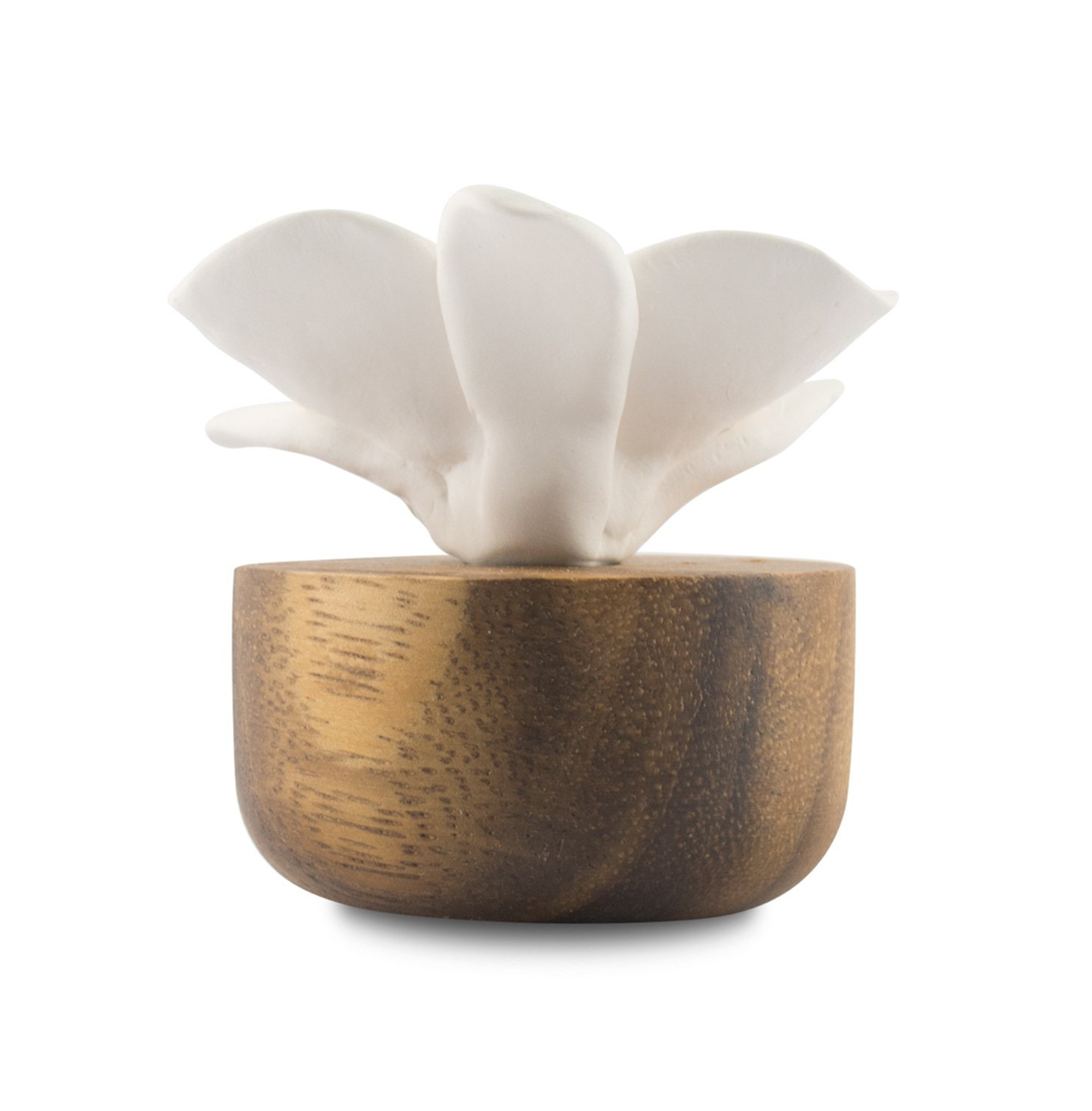 Difusor de perfume - Flor de orquídea