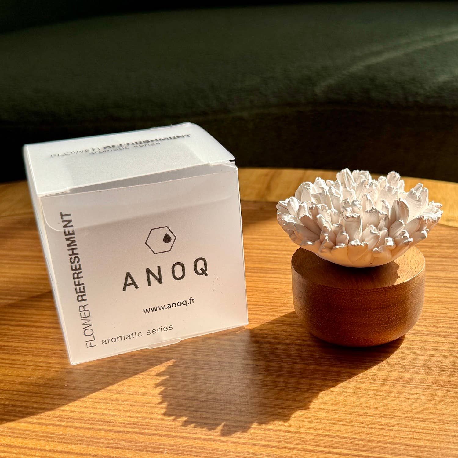 Difusor de fragancia - Clavel japonés - Perfume ambiental